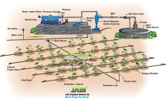 Layout Model of Drip Irrigation